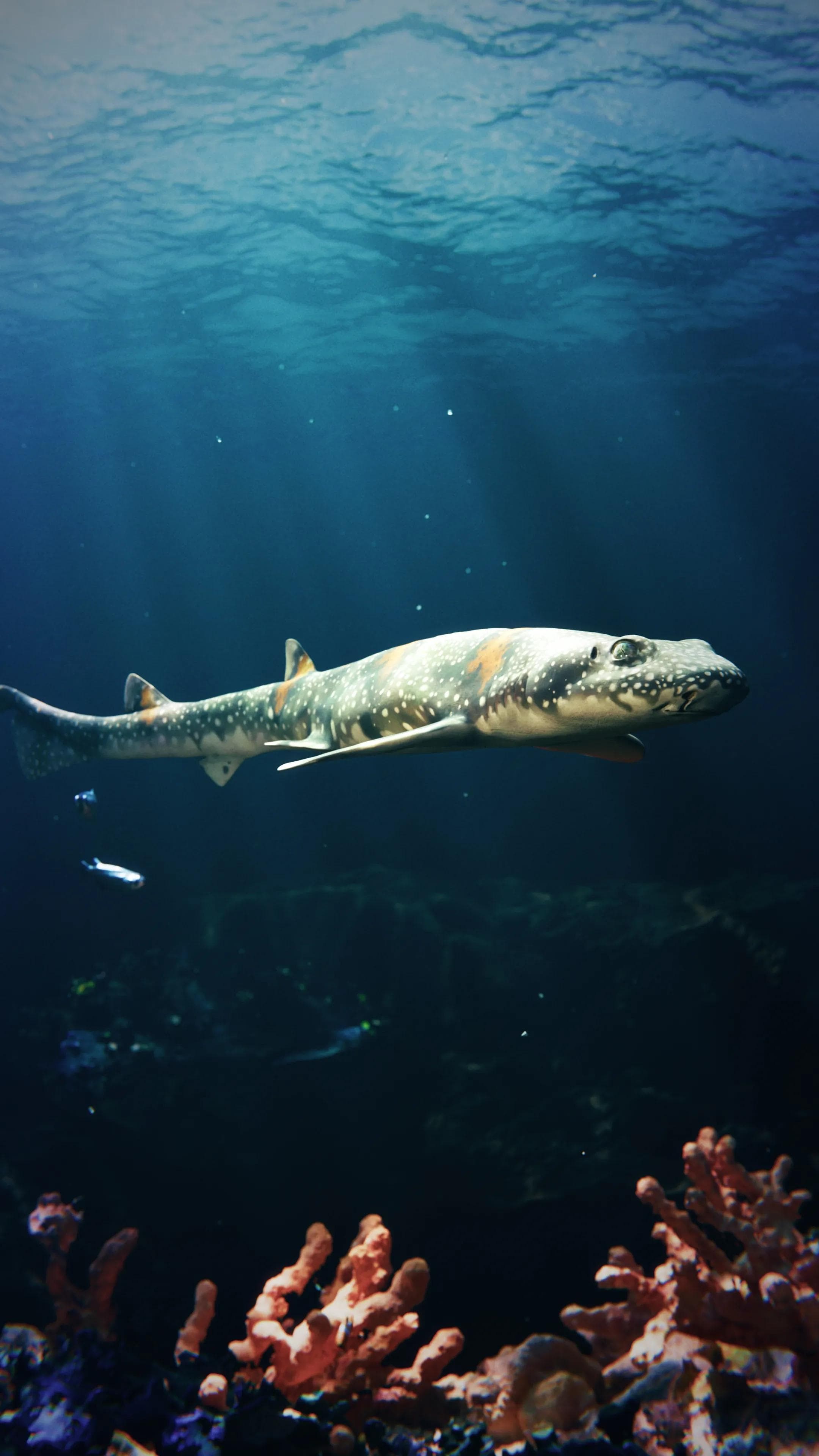 Rendering 3D fotorealistico di ambiente oceanico con luci volumetriche, caustiche e particolato marino realizzato in Blender da maksi thompsoneanico con luci volumetriche, caustiche e particolato marino realizzato in Unreal Engine 5.